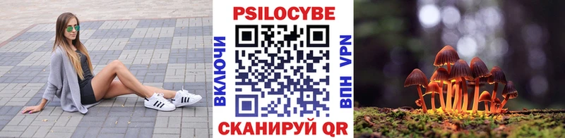 что такое   Новороссийск  Галлюциногенные грибы мухоморы 
