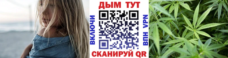 Бошки Шишки планчик Новороссийск